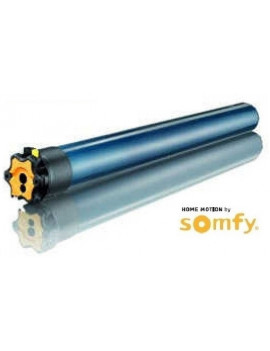 Somfy - Moteur Somfy LT60 Titan 100/12 - 1166029 - Volet roulant