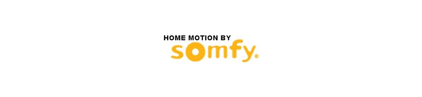 Somfy - Capteur climatique